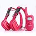 AGPtEK Rechargable LCD Remote Control Dog Training Shock Collar with 100 Level Shock and Vibration - 2 Collar