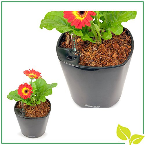 Fiber Mulch (5 Quarts) Organic Potting Mulch + Hydrating Bag