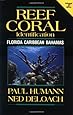 Reef Coral Identification Florida Caribbean Bahamas