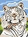 Reeves Medium Painting By Numbers - White Tiger