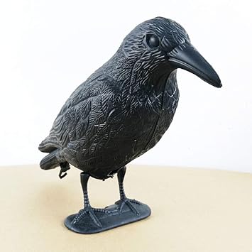 Onetek Abri De Jardin En Plastique Pour Oiseaux Noir Amazon