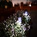 iHomy Stainless Steel 12 Pack Outdoor Solar Garden Lights