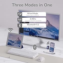 RK ROYAL KLUDGE RK100 2.4G Wireless/Bluetooth/Wired