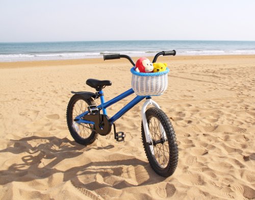 Colorbasket Kid's Front Handlebar Bike Basket - White with Blue Trim