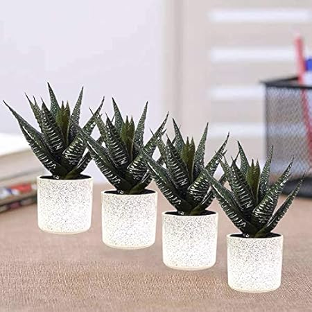 Lasaki Mulan White Ceramic Pots for Indoor Plants Planters Flower pots Outdoor Succulent Pot( Set of 4)