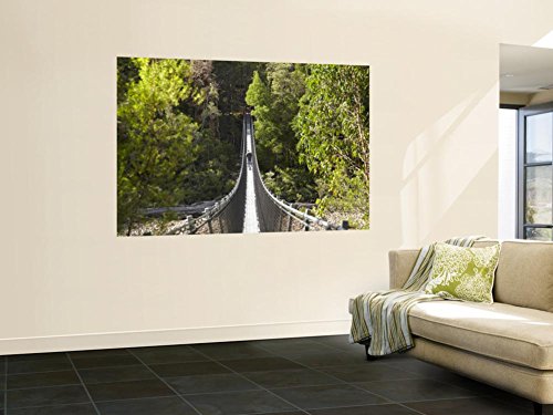 Person on Huon Swinging Bridge Over Huon River, Tahune Forest Reserve, Tasmania, Australia Wall Mural by David Wall 48 x 72in