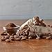 Emerald Nuts Cocoa Roast Almonds, 100 Calorie Packs, 7 Count