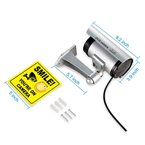 2 Cameras+Surveillance+Realistic+Blinking+Businesses