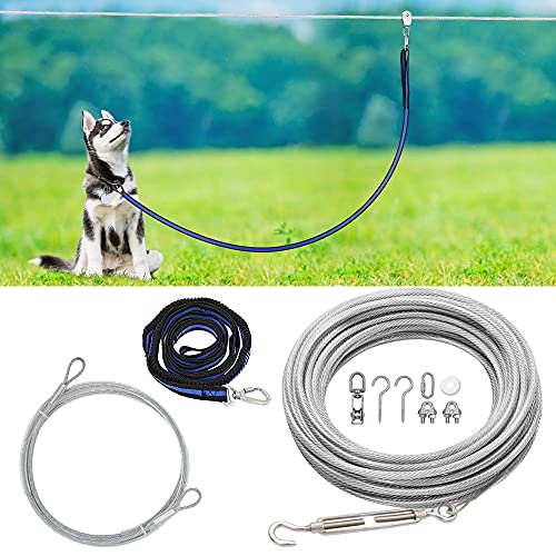 100 ft dog leash