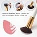 Qivange Makeup Brush Set, Kabuki Brush Set For Eyeshadow Concealer Cream Liquid Foundation with Portable Pouch(10pcs, White Gold) 