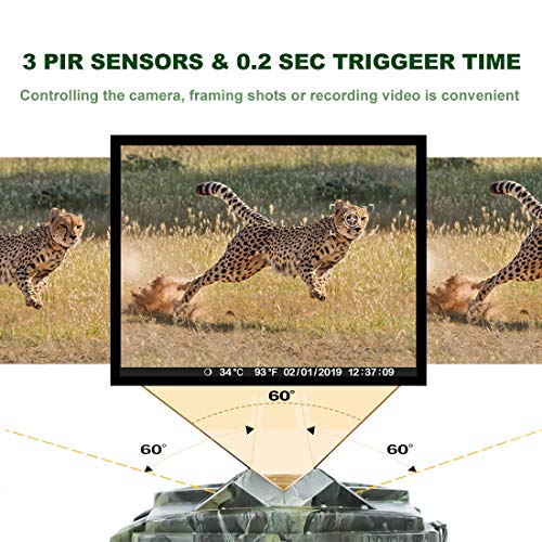 2 Cameras+Activated+Wildlife+Surveillance+Mounting