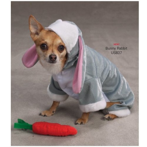 Zack & Zoey Bunny Rabbit Pet Costume