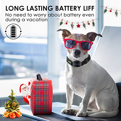 automatic dog shock collar