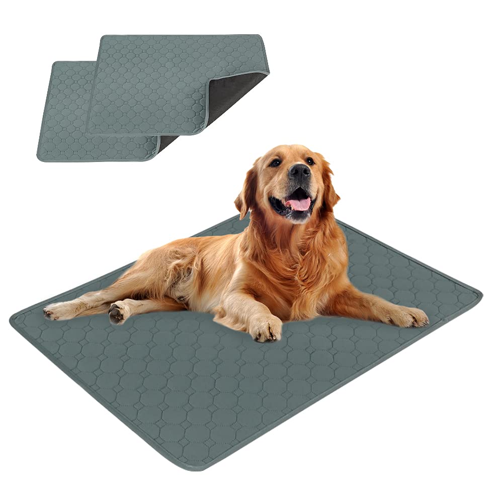 EASTLION Washable Pet Mat, Non-Slip Reusable Pads, Super Absorbent Waterproof Mat for Indoor Outdoor Car Travel for Dogs, Cats (2 PCS 23.6x17.7 inch S-Grey)