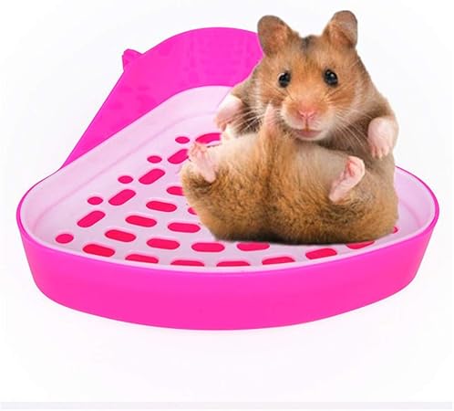 can guinea pigs use kitty litter