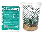 Hornworms Habitat Cup (25 Count Cup)