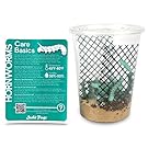 Hornworms Habitat Cup (25 Count Cup)