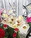 Talking Tables Alice In Wonderland Party Supplies | Table Centrepiece | Great For Mad Hatter Tea Party, Birthday Party And Baby Shower | Paper