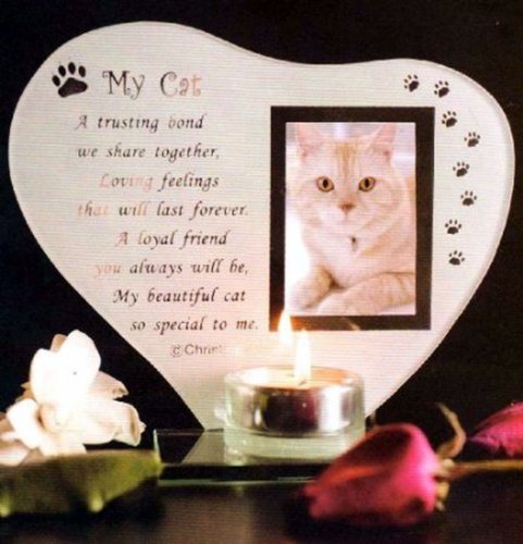 Personalised Cat Memorial photo