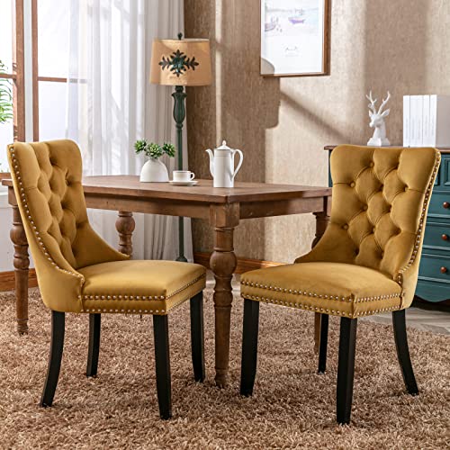 LZ LEISURE ZONE Dining Chairs 2-Pcs Set, High-end Velvet