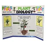 Elmer's 730300 - Corrugated Display Board, 48 x 36, 25 Pack, White