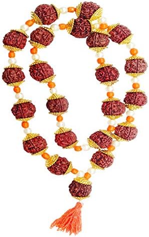 Mystic Banana Brown and Gold 5 Mukhi Big Nepali Rudraksha Kantha with Golden Cap, 21+1 Beads of 15 mm