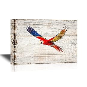 Birds and Poultry Colorful Parrot Flying in The...
