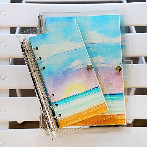Rancco A5 Dividers Insertable Index Page Tab Cards, 2 Sets 12 Pcs Translucent 6-Holes Binder Classified Lables for Filofax Notebook/Travel Diary Journal/Planner w/Ruler