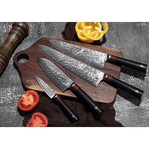 Damascus Chef's Knife Japanese AUS10 super steel 67 Layers