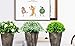 The Bloom Times Fake Plant for Bathroom/Home Decor, Small Artificial Faux Greenery for House Decorations (Potted Plants) Set of 3Pcs