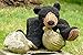 HuggleHounds Durable Tuffut Flatties, Dog Toy