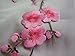 CUTEHILL Iron on Patches, Flower Applique Patches, Embroidery Patches, Big Pink Plum Blossom Embroidery Applique, 14.1