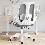 Razzor Office Chair, Ergonomic Computer Desk Chair