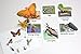 Montessori Butterfly Life Cycle Animal Match Cards and Figurines. Nomenclature Science Work Teaching