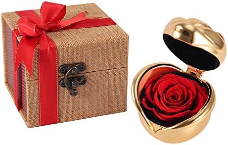 Red Rose, Handmade Preserved Rose Present, Exquisite Fresh Roses Upscale Immortal Flowers Best Gift for Female Birthday, Anniversary, Valentine's Day, Christmas (Golden-Red Rose)