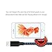 Nutmix iPhone Cable 5Pack 3FT 6FT 6FT 10FT 10FT Nylon Braided Certified Lightning to USB iPhone Charger for iPhone X/8/8 Plus/7/7 Plus/6/6 Plus/6S/6S Plus,iPad,iPod Nano 7 - Black Blue