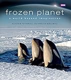 Image de Frozen Planet