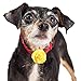 Leinuosen 14 Pcs Dog Flowers Collar Pet Adjustable Dog Large Flowers Bow Tie Multi Color Floral Collar Charms for Small Medium Big Female Cat Puppy Neck Bows Sliders Grooming Accessories(3.15 Inch)