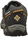 Columbia Men's North Plains WP Wide Hiking Shoe