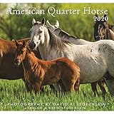 2020 American Quarter Horse Calendar