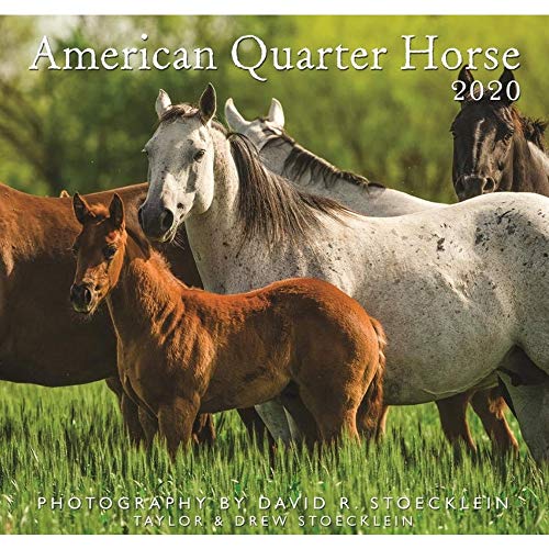 2020 American Quarter Horse Calendar