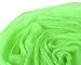 WuNian Scarves for Women Soft Lightweight Shawls and Beach Wraps Fashion Scarves Shawls Solid Color (Lime Green)
