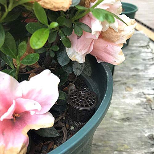 Fertilizer Box Bonsai Planting Automatic Fertilization Device Agriculture Tools Fertilizer Baskets Garden Nursery Supplies 11Pcs