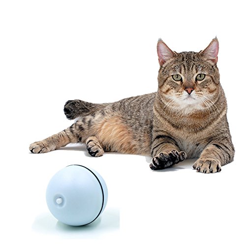 Interactive Cat Toy 360 Degree Self Rotating Ball Automatic Light Toy