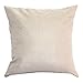 Aremazing Tropical Hawaiian Pineapple Cotton Linen Home Decor Pillowcase Throw Pillow Cushion Cover 18 x 18 Inches (Black & White Pineapple)