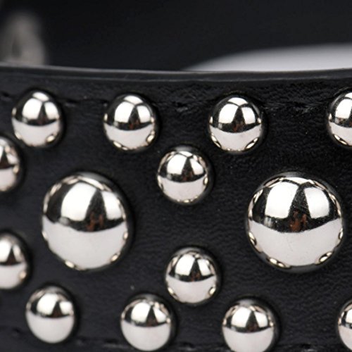 Fabal New Rivet Studded Dog Collar Medium Large Pet Dog Pitbull Bully Terrier Collars (M, Black)