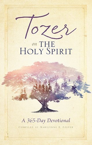 Tozer on the Holy Spirit: A 365-Day Devotional by A. W. Tozer (2015-03-01) by A. W. Tozer (Paperback)