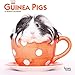 Guinea Pigs 2020 7 x 7 Inch Monthly Mini Wall Calendar, Domestic Animals Small Pets by 