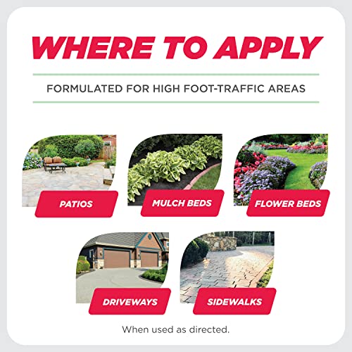 Earth's Ally Weed and Grass Killer Safe, PetFriendly Natural Weed