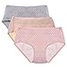 Intimate Portal Women Teens Cotton Leak Proof Incontinence Underwear 3-pk Polka Dot S